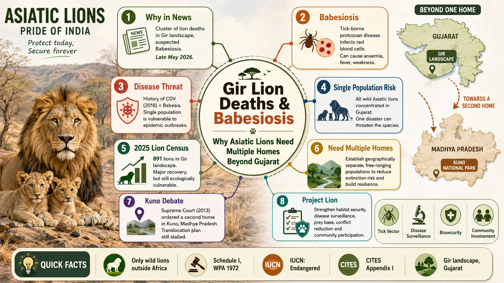 Gir Lion Deaths & Babesiosis Explained: Why Asiatic Lions Need Multiple Homes Beyond Gujarat | Environment | GainingSun